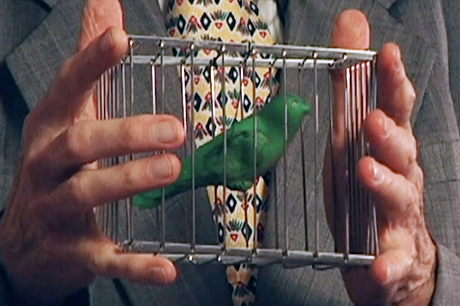Walter Blaney's Vanishing Bird Cage 